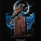 T-shirt Design
